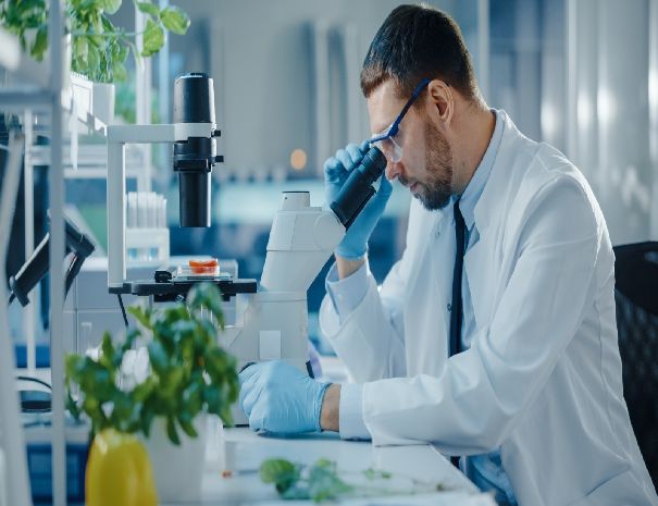 Food-Safety-Management Food-Safety-Management